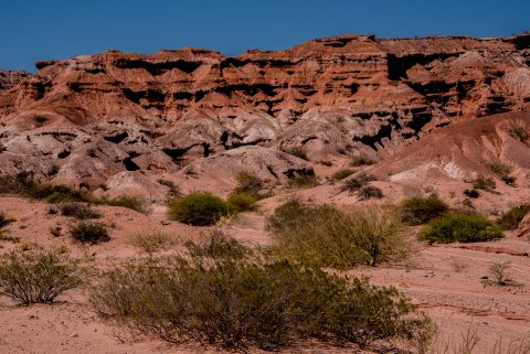 Quebrada de las Conchas , Cafayate, Argentina