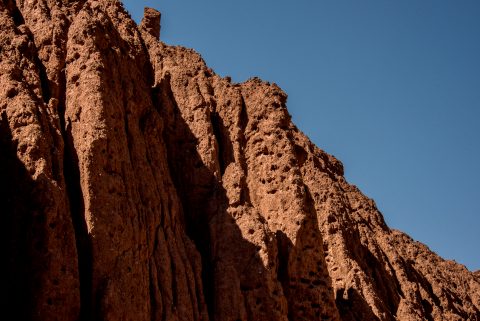 Burrowing parakeets holes, Quebrada de las Conchas, Argentina