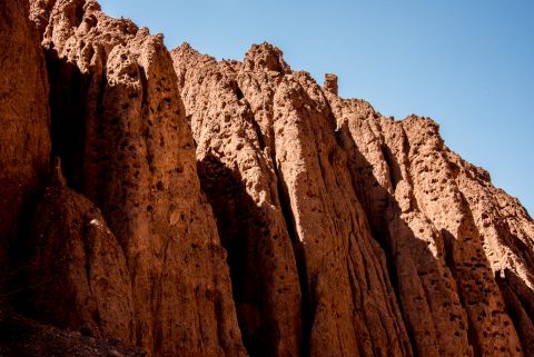 Burrowing parakeets holes, Quebrada de las Conchas, Argentina
