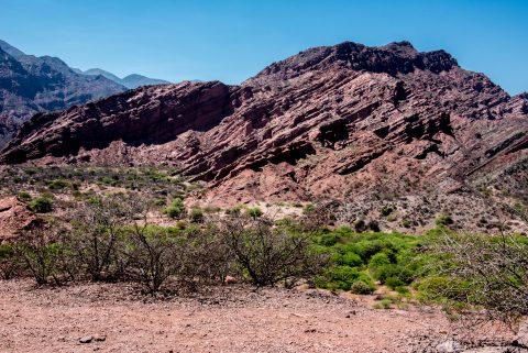 Quebrada de las Conchas, Cafayate, Argentina