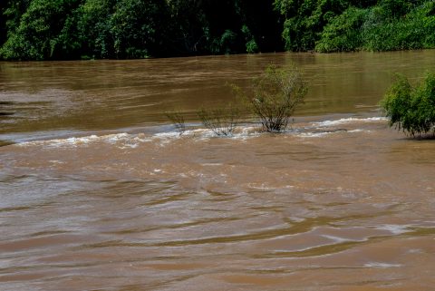 Iguazu  river, Argentina