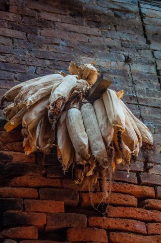 Drying maize, Bhaktapur, Nepal