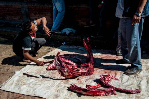 Butchering, Bhaktapur, Nepal