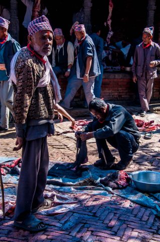 Butchering, Bhaktapur, Nepal