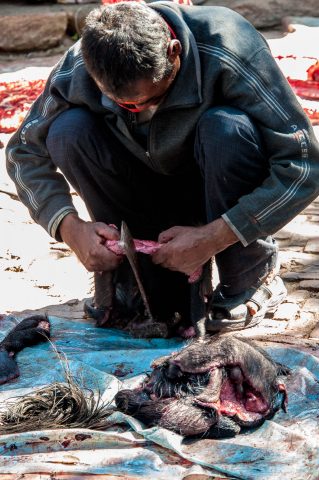 Butchering, Bhaktapur, Nepal