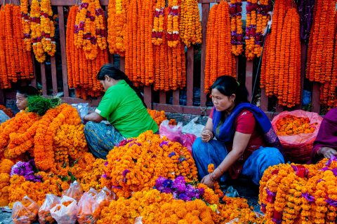 Flower offerings, Kathmandu, Nepal