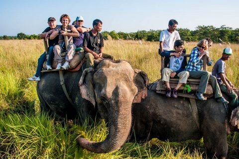 Elephant ride,  Royal Chitwan National Park, Nepal