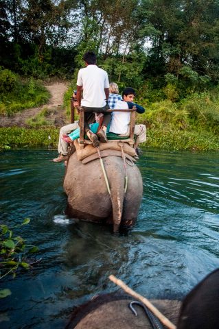Elephant ride,  Royal Chitwan National Park, Nepal
