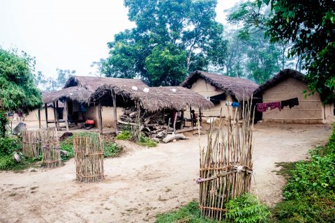 Village in Royal Chitwan National Park, Nepal