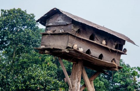 Village in Royal Chitwan National Park, Nepal