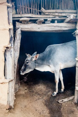Village in Royal Chitwan National Park, Nepal