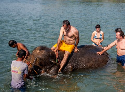 Elephant bathing,  Royal Chitwan National Park, Nepal