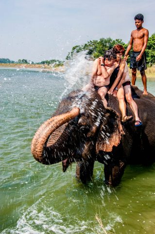 Elephant bathing,  Royal Chitwan National Park, Nepal