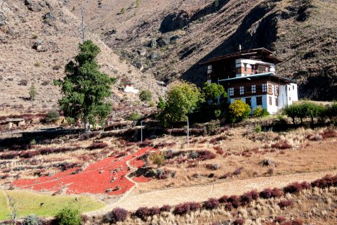 Tachogang Lhakhang, Paro Valley, Bhutan