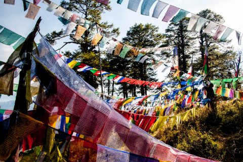 Prayer flags, Dochula Pass, Bhutan
