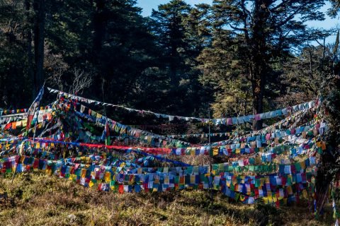 Prayer flags, Dochula Pass, Bhutan