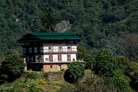 Traditional house, Punakha Valley, Bhutan