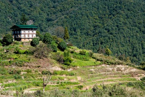 Traditional house, Punakha Valley, Bhutan