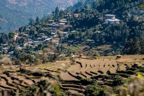 Wangduephodrang, Punakha valley, Bhutan