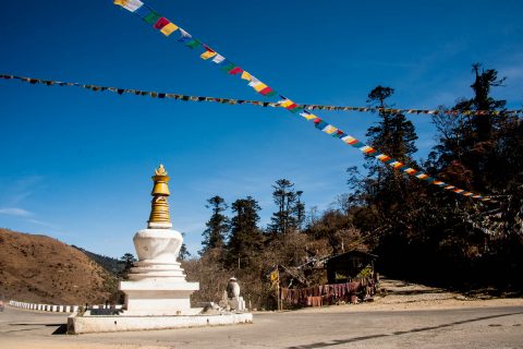 Pelela Pass (10825 feet), Bhutan