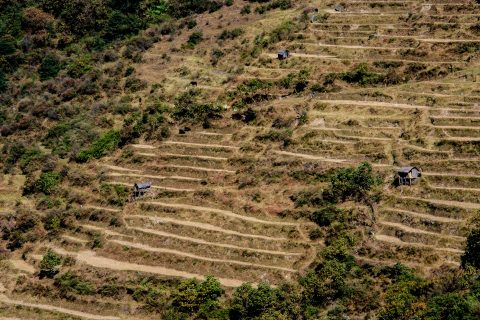 Cultivated terraces from Trongsa Dzong, Bhutan