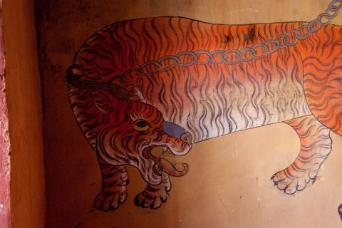 trongsa Dzong inside, Bhutan