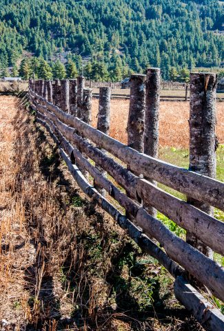 Fence, Bhutan