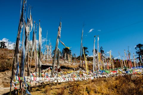 Prayer flags, Yutongla Pass (11155feet), Bhutan