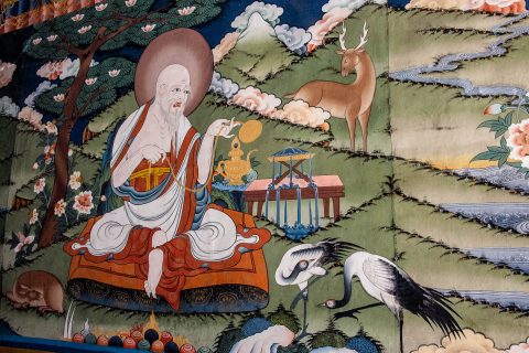 Punakha dzong, Bhutan