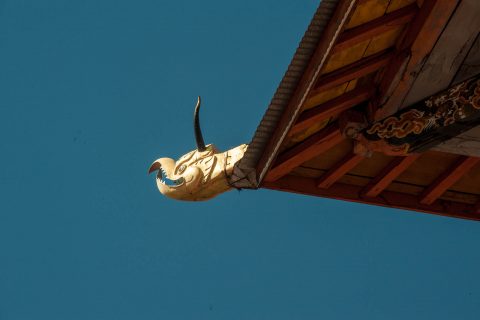 Punakha dzong, Bhutan
