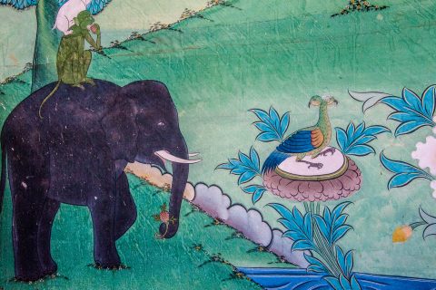 Punakha dzong, Bhutan