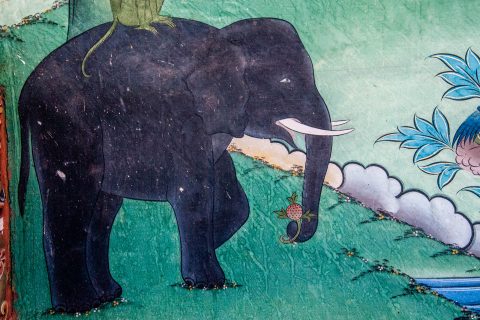 Punakha dzong, Bhutan