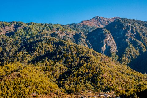 Taktshang Lhakhang from Paro Valley, Bhutan