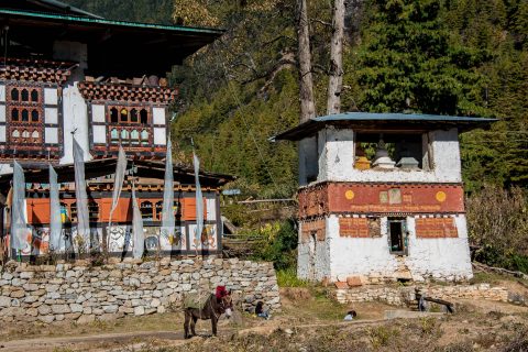 Drukyel Dzong, Paro Valley,  Bhutan