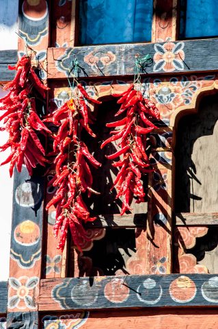 Drying chillis, Paro house, Bhutan