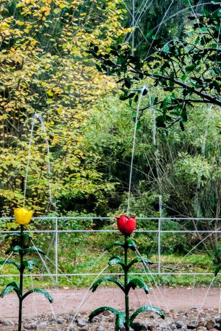 Fountain, Lower Park, Peterhof, St Petersburg