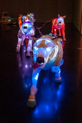 Huskies made from plastic recovered from ocean, Anchorage Museum