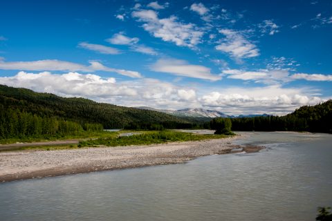 Susitna River from train, Alaska