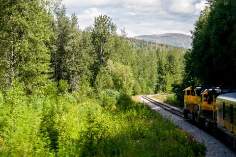 View from Anchorage to Denali train, Alaska