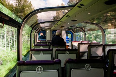 View from Anchorage to Denali train, Alaska
