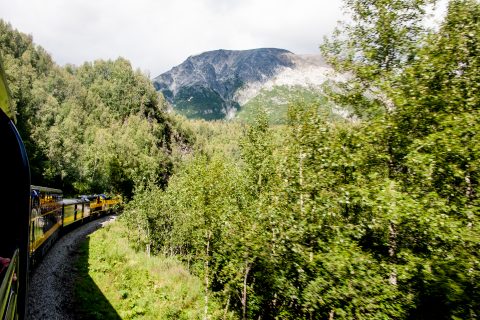 View from Anchorage to Denali train, Alaska