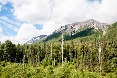 View of Denali from  train, Alaska