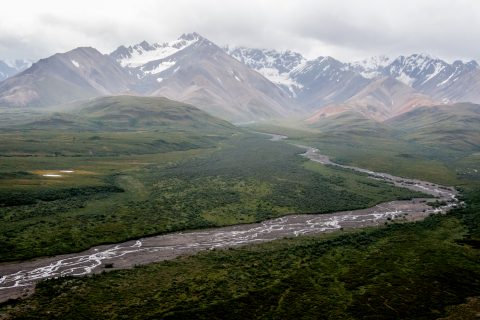 Teklanika River, Denali NP, Alaska