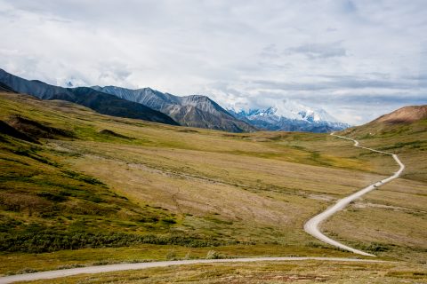View from Highway Pass, Denali NP, Alaska