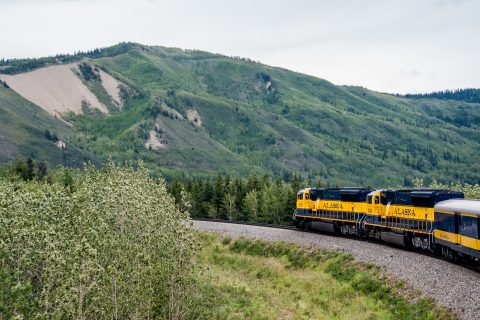 View from Denali to Fairbanks train, Alaska