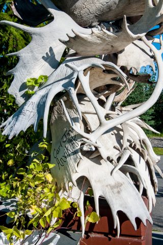 Antler Arch, Griffin Park, Fairbanks, Alaska