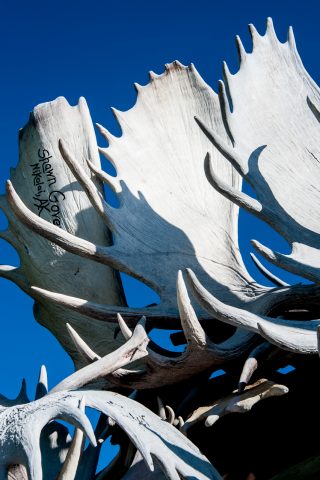 Antler Arch, Griffin Park, Fairbanks, Alaska