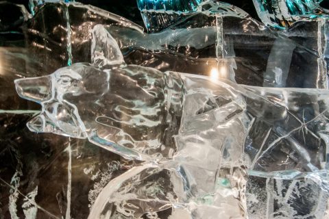 Ice Museum carvings, Fairbanks, Alaska