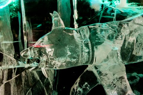 Ice Museum carvings, Fairbanks, Alaska