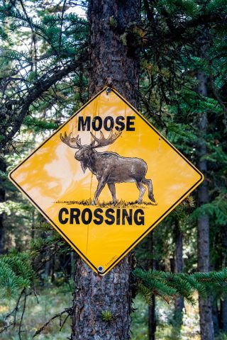 Road sign, Alaska